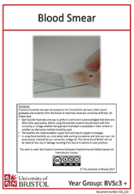 clinical skills instruction booklet cover page, lab blood smear